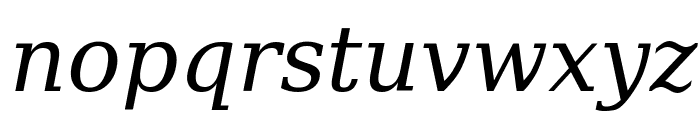 DejaVu Serif Italic Font LOWERCASE