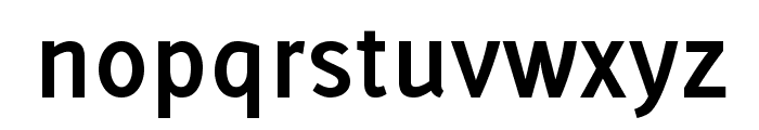 Delicious-Bold Font LOWERCASE