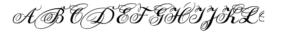 Your Image
