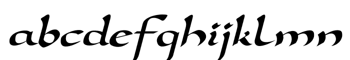 DorovarFLF-Italic Font LOWERCASE