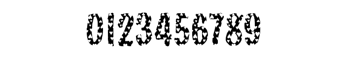 DTCBrodyM33 Font OTHER CHARS
