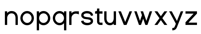 Dustismo  Bold Font LOWERCASE