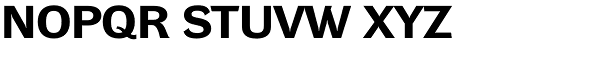 DynaGrotesk RXE Bold Font UPPERCASE