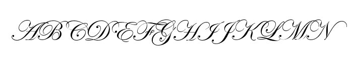 Your Image