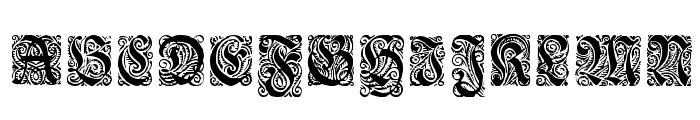 Ehmcke-Fraktur Initialen Font LOWERCASE