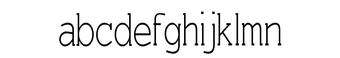 Einzig Serif Font LOWERCASE
