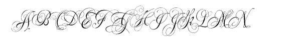 Your Image