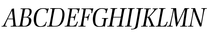 EllingtonMTStd-LightItalic