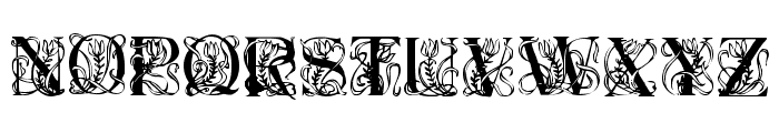 Elzevier Regular Font LOWERCASE