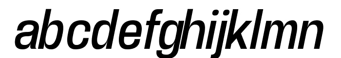 Enigmatic Italic Font LOWERCASE