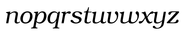 ER Bukinist Mac Italic Font LOWERCASE