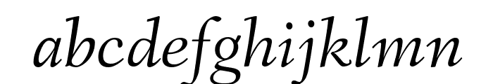 Fanwood TT Italic Font LOWERCASE