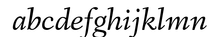 Fanwood Text Italic Font LOWERCASE