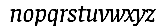 Faustina Medium Italic Font LOWERCASE