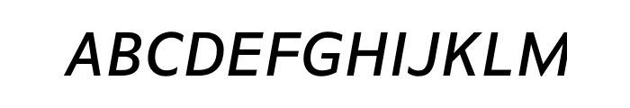 FF Basic Gothic OT Medium Italic Font UPPERCASE