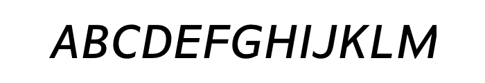 FF Basic Gothic Offc Pro Medium Italic Font UPPERCASE