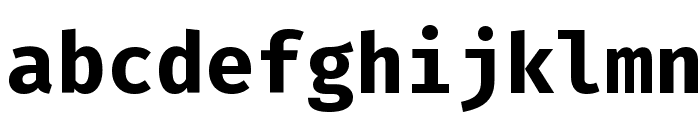 Fira Mono Bold Font LOWERCASE