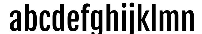 Fjalla One Font LOWERCASE
