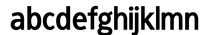 FrancophilSans-Bold Font LOWERCASE