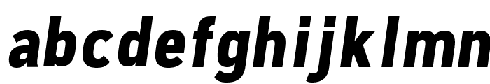 Freeroad Bold Italic Font LOWERCASE