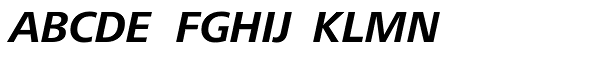 Frutiger Next Central European Bold Italic Font UPPERCASE