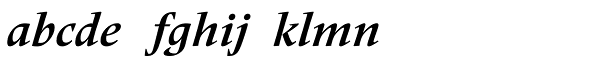 Frutiger Serif Pro Bold Italic Font LOWERCASE