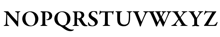 GaramondPremrPro-Smbd Font