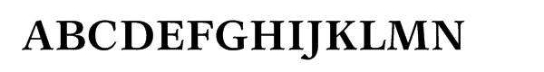 Garth Graphic® Pro Bold Font UPPERCASE