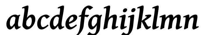 Gentium Basic Bold Italic Font LOWERCASE