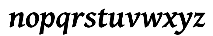 Gentium Basic Bold Italic Font LOWERCASE