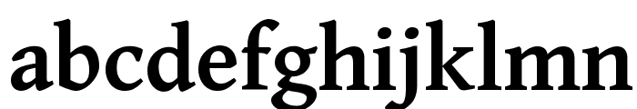 Gentium Basic Bold Font LOWERCASE