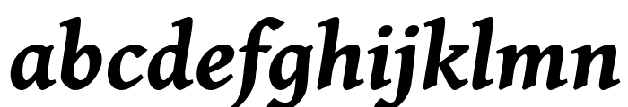 Gentium Book Basic Bold Italic Font LOWERCASE
