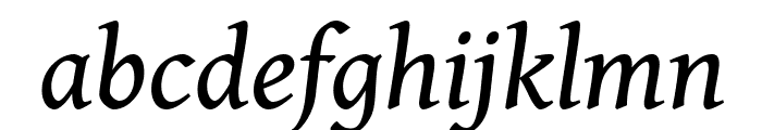 Gentium Book Basic Italic Font LOWERCASE
