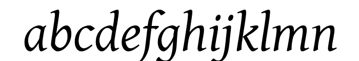 Gentium Plus Italic Font LOWERCASE