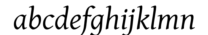 GentiumAlt Italic Font LOWERCASE
