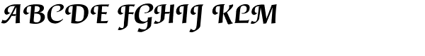 Gertrud-Bold Italic Font UPPERCASE