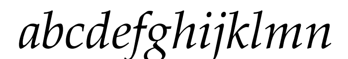 GFSDidot-Italic Font LOWERCASE