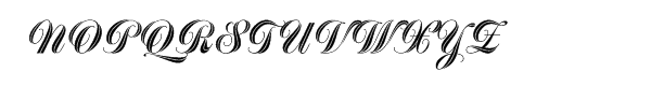 Greyton™ Script Central European Plain Font UPPERCASE