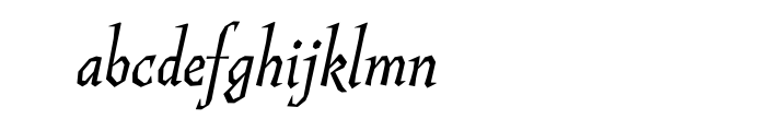 Guenter Italic Cyrillic OT Font LOWERCASE