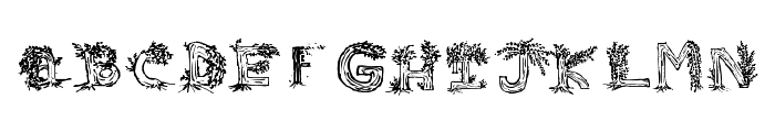 Heavenly Rooted Font LOWERCASE