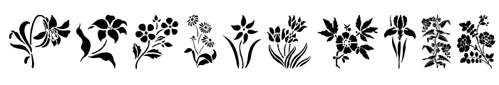 HFF Floral Stencil Font OTHER CHARS