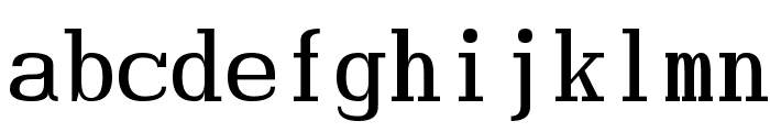 Hindsight Monospace Regular Font LOWERCASE