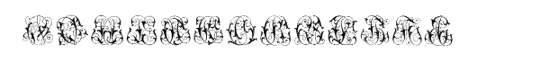 Intellecta Monogram Special Series AECZ Font LOWERCASE