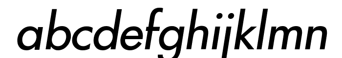 Intrepid Italic Font LOWERCASE