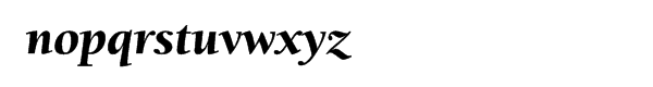 ITC Berkeley Oldstyle® Black Italic Font LOWERCASE