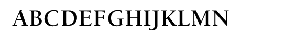 ITC Berkeley Oldstyle® Bold Font UPPERCASE