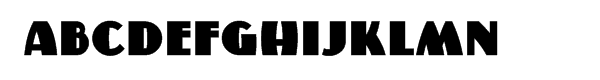 Your Image