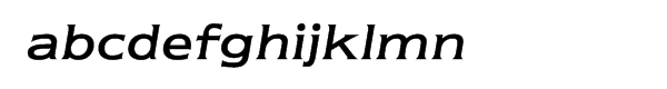 ITC Newtext® Regular Italic Font LOWERCASE