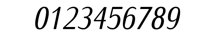 IwonaCond-Italic Font OTHER CHARS