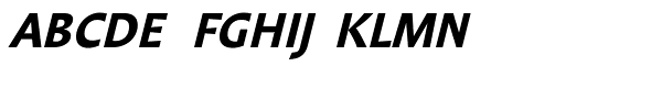 Jannon Sans Text Bold Italic Font UPPERCASE